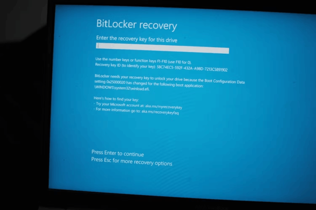 BitLocker